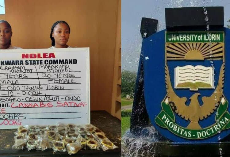 NDLEA arrests Unilorin graduate, student for selling cupcakes that is full of drug